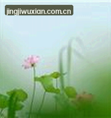 张伟